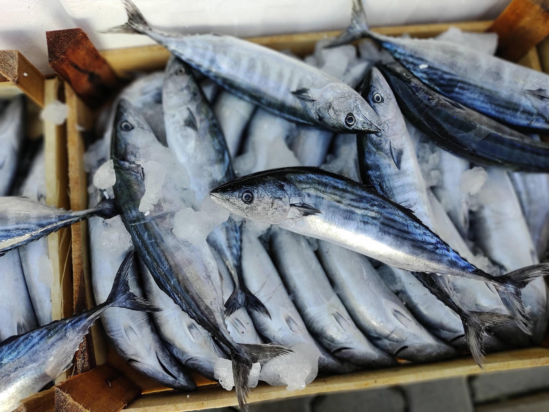 喋る人は老けにくい？──口と脳から始めるアンチエイジング