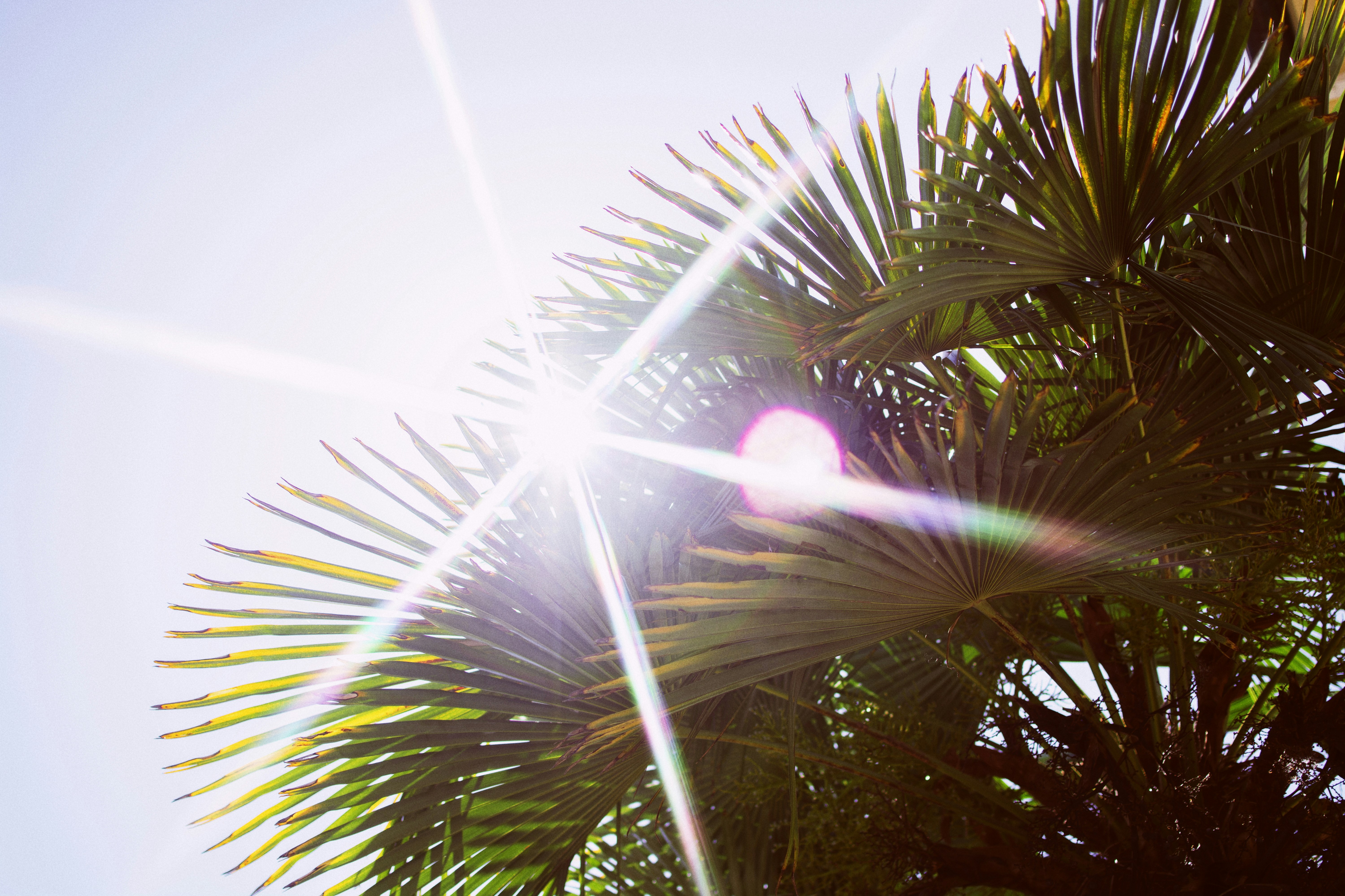 夏の紫外線対策